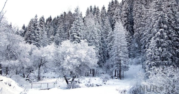 Қыс мезгілінде тауда серуендеудің қандай артықшылықтары бар