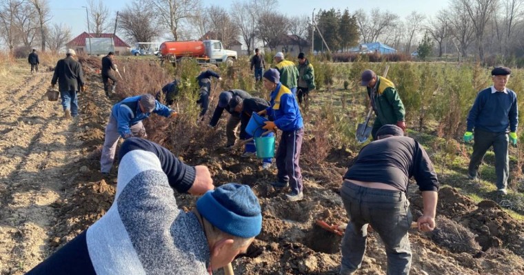 Шымкентте жалпы қалалық сенбілік өтті