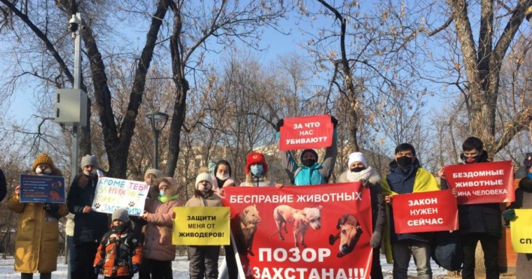 "Жаза қатаңдатылсын": Алматыда жануарларды қорғаушылардың митингі өтті