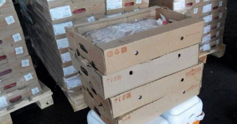 Ресей мен Аргентинадан әкелінген құс етінен коронавирус анықталды