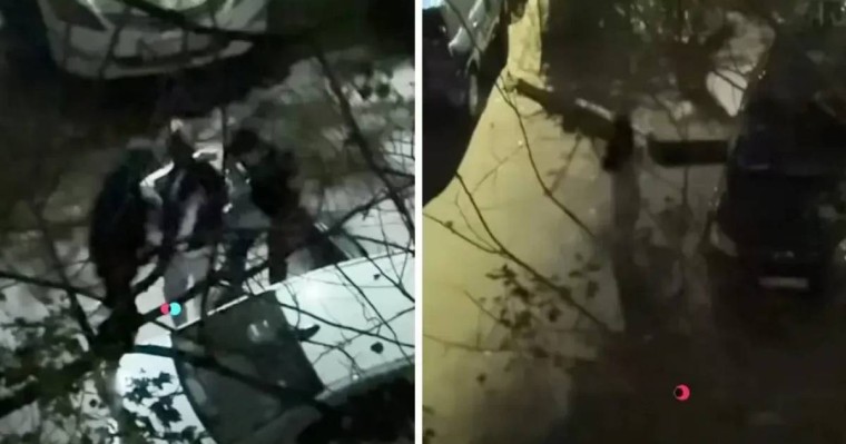 Алматыда жігіттер түнгі уақытта бойжеткенді күштеп, көлігімен алып кетпек болды