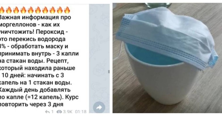 Қазнетте маскадағы құрттар туралы жаңа хабарлама тарап жатыр