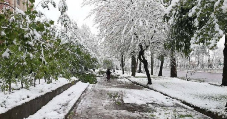 Қар жауады: Шымкентте және қзге 10 облыста дауылды ескерту жарияланды