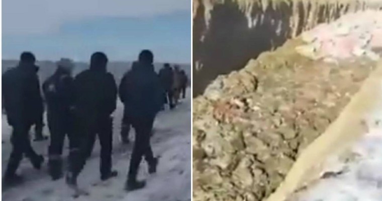 "Біз мұсылманбыз деп айтамыз": Атырау облысында халық шошқа шаруашылығын жабуды сұрап жатыр