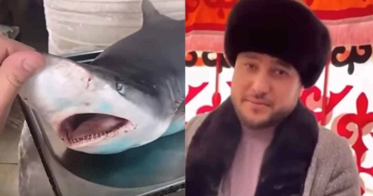 Әбдіжаппар Әлқожа ұлдарының тойына АҚШ-тан акула алдыртып сойған