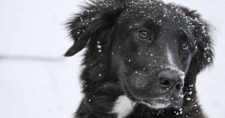 19-21 қарашаға арналған ауа райы болжамы