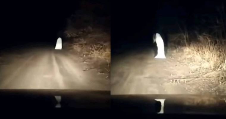 Жолдағы елеспен полицейлер күреседі: Ханкөл ауылына сақшы жіберілді