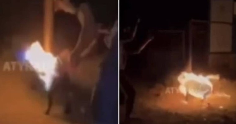 Атырауда итке бензин шашып, өртеп жіберген екі жас баланың бейнежазбасы жаға ұстатты