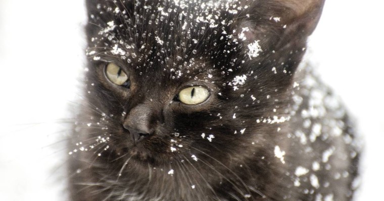 16 қарашаға арналған ауа райы болжамы