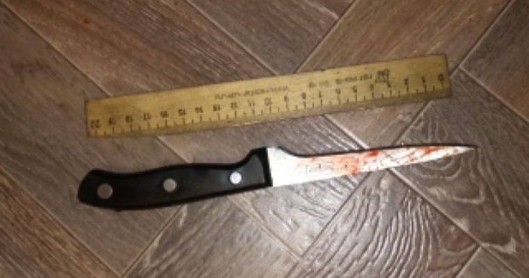 Ақмолада өз қызын пышақтаған әйел ұсталды