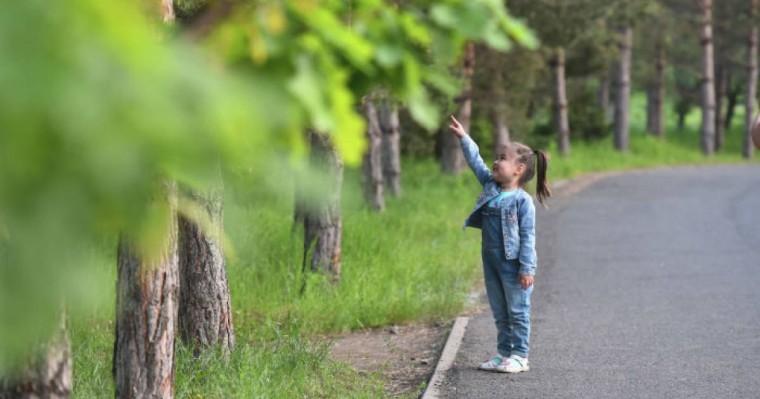 Қазақстанда 31 мамырда қандай маңызды оқиғалар болады