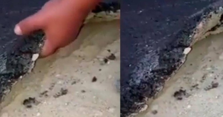 Шенеунік сапасыз "кілем асфальт" үшін пара алғанын мойындады