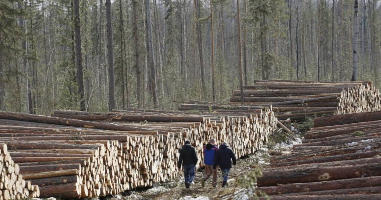 Ресей үшін көмірсутектердің аяқталуы экономиканың орасан бөлігін жоғалтуды білдіреді