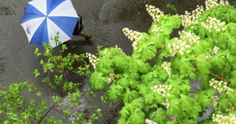 Қазақстанда маусымда ауа райы қандай болады: аптап ыстық, жаңбыр, бұршақ