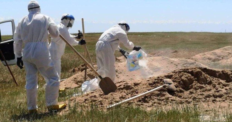 Қазақстанда Covid-ке шалдыққандар ресми деректен 37 есе көп