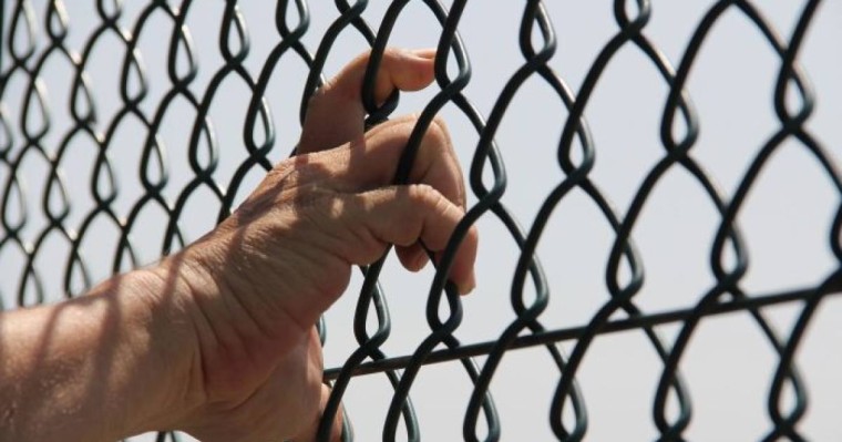 59 адам қылмыстық жауапкершілікке тартылды