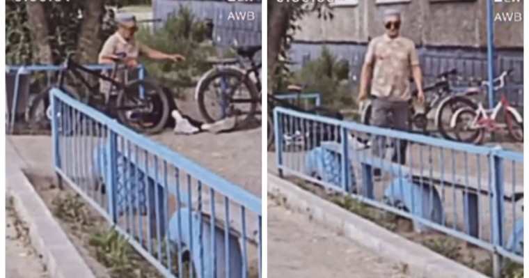 "Жұманың кегін алдым": Павлодарда танысын бауыздап өлтірген ер адамға қатысты көршілері пікір білдірді