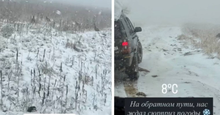 "Кеше ғана жаз еді": Шығыс Қазақстан облысында қар жауды