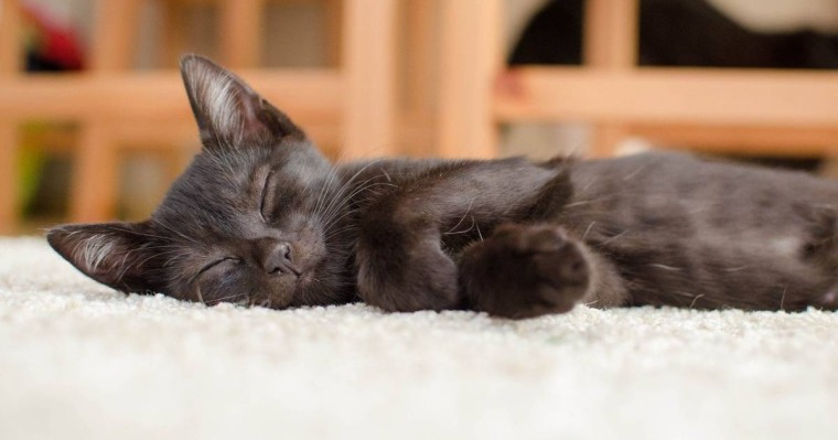 Дәрігер жалқаулықтан арылу әдісін бөлісті