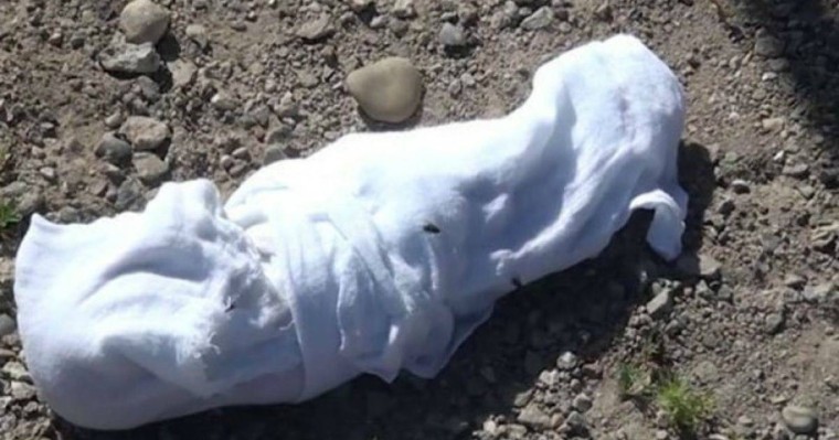 Қостанай облысындағы зираттан сәбидің денесі табылды - Қазақстан жаңалықтары