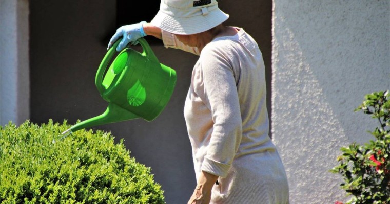 Қызылжарда жиені пышақтаған 89 жастағы кейуана бақилық болды