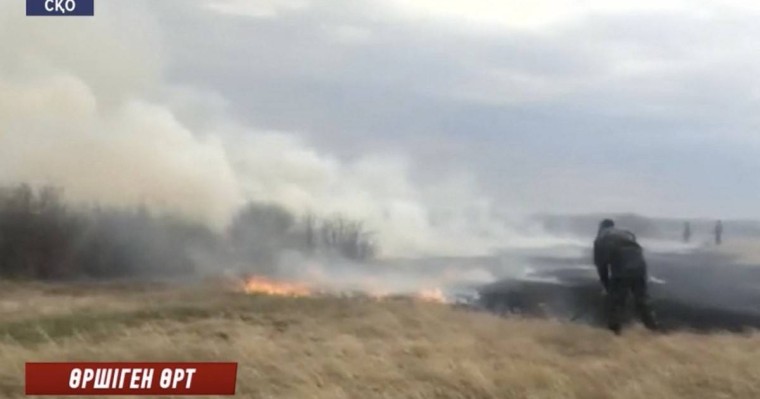 Ауылдықтар өздері сөндіріп жүр: СҚО-да дала өрті өршіп барады - Қазақстан жаңалықтары