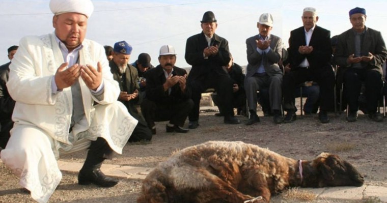 Биыл құрбандықты онлайн шалуға болатын сайт іске қосылды