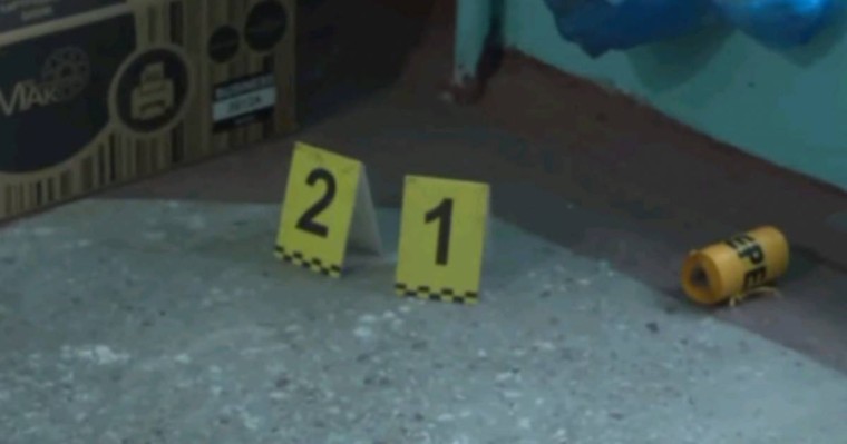 Павлодардағы анасы мен үш баласының өліміне қатысты жаңа деректер белгілі болды