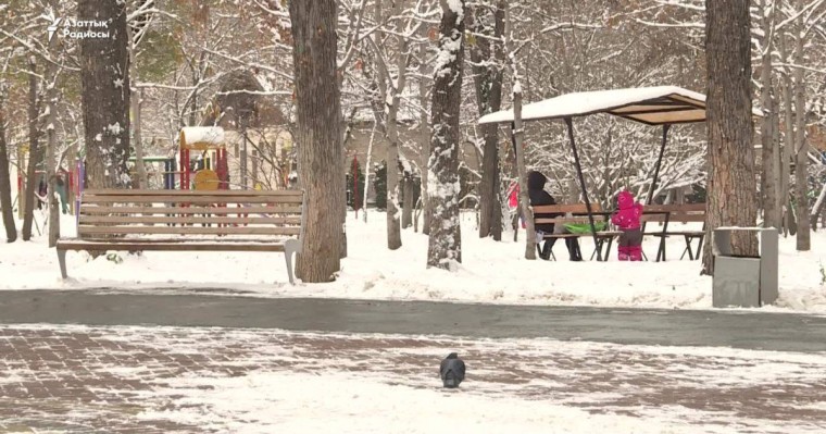 Тоқаев өзгерткен "Зорлық-зомбылық" заңына көңілі толмайтындар көп