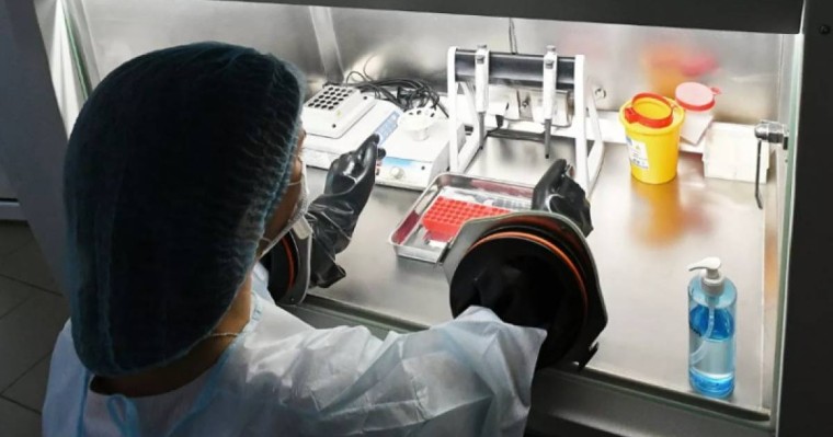 Ғалымдар ескерту жасады: Жарғанаттан адамға қауіпті тағы бір вирус анықталды