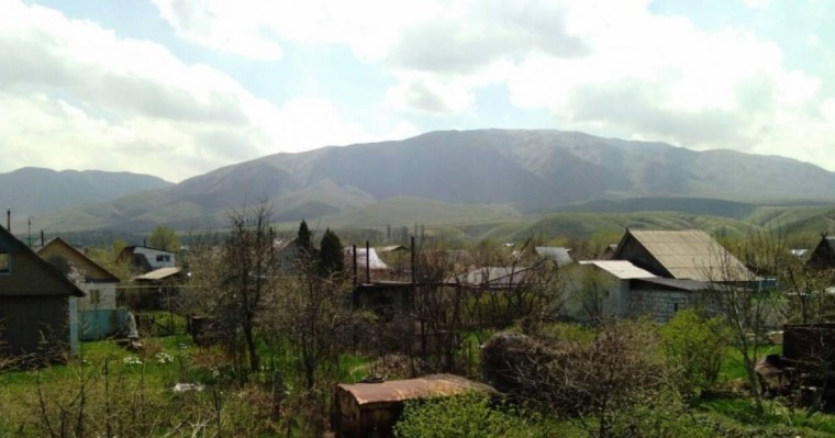 Мен қытай болсам да, бұзауым местный