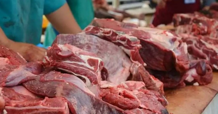 Ғалым киік етін өңдейтін арнайы комбинат салуды ұсынды