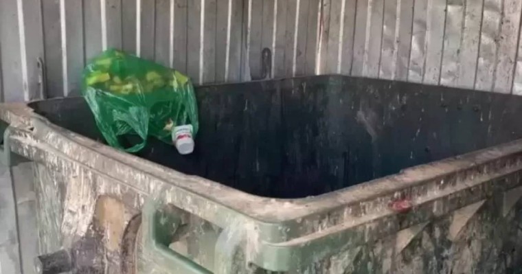 Оралда қоқыс жәшігінен нәрестенің денесі табылды