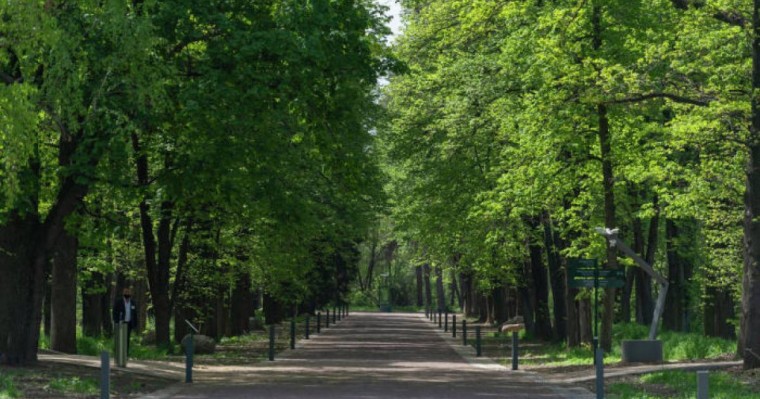 Алматының әкімі Тоқаевқа қандай ұсыныс жасағанын айтты