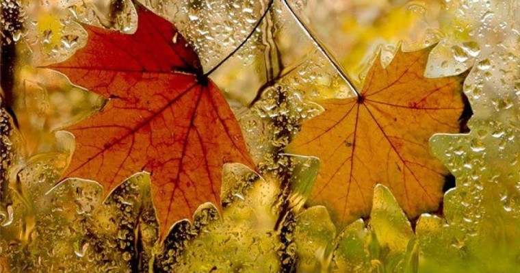 Қарашаның 5-сі күнгі ауа райы болжамы