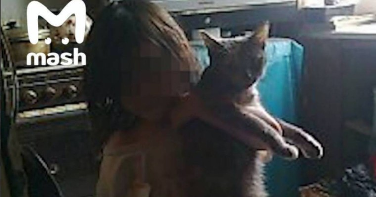 19 мысықпен бірген тұрған: Мысықтардың тамағын жеп күн көрген "Маугли қыз" табылды