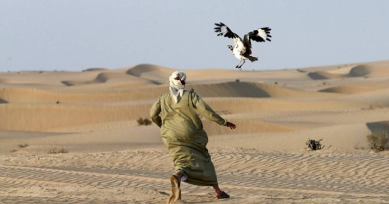 «Қызылорда облысында құнарлы жерлер арабтарға сатылып жатыр» - қоғам белсендісі