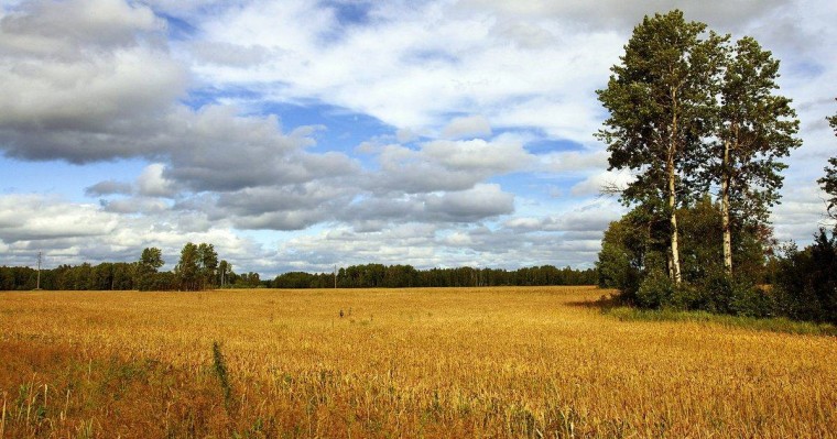 Жер реформасы бойынша комиссия құрамы бекітілді