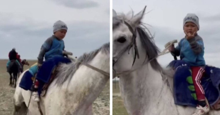 "Біздің бала-шаға дамбалын әрең киіп жүр". Желіде ат үстінде сенімді отырған 3 жасар шабандоз көпті тәнті етті