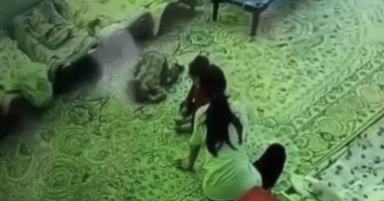 Жетісу облысында балаларды қылқындырып, соққыға жыққан тәрбиешілер жұмыстан шығарылды