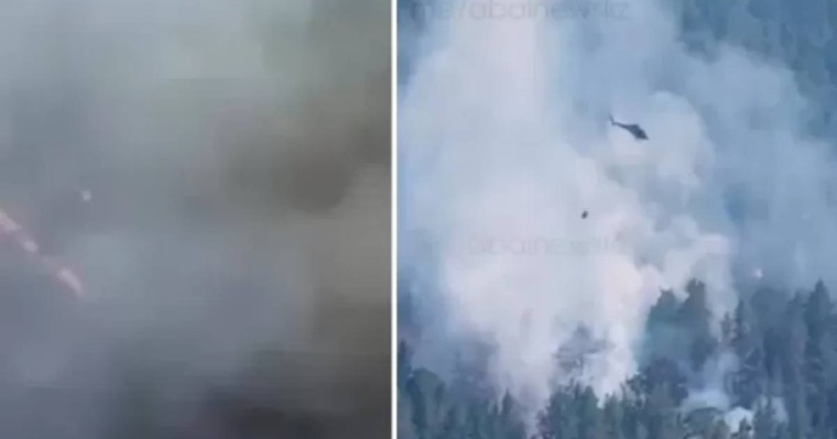 Абай облысында орман өртенді