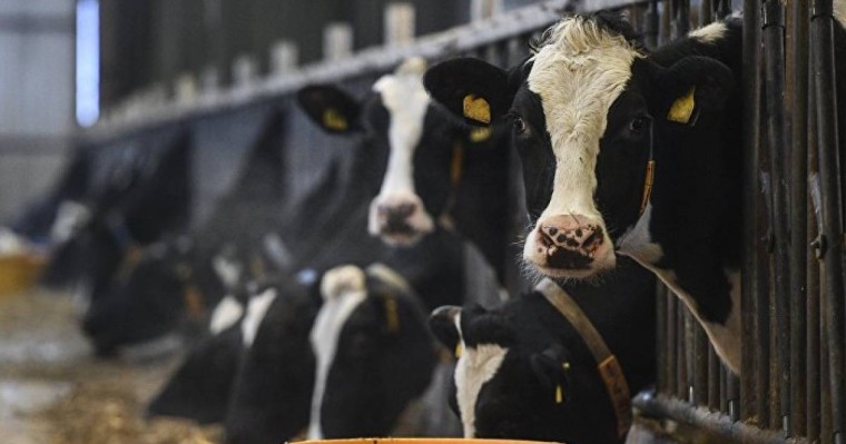 Мамин агроөнеркәсіпті дамытудың жаңа тұжырымдамасын әзірлеуді тапсырды