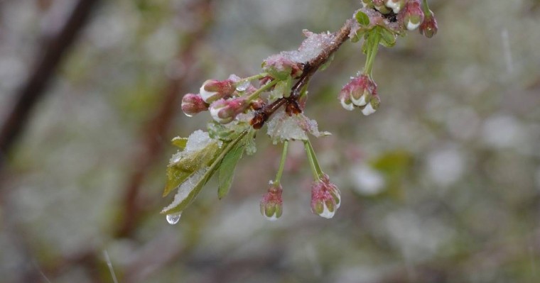 Жаңбыр мен қар аралас жауады. Алдағы үш күнге ауа райы болжамы