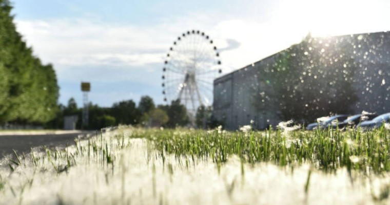 Қазақстанда 26 мамырда қандай маңызды оқиғалар болады