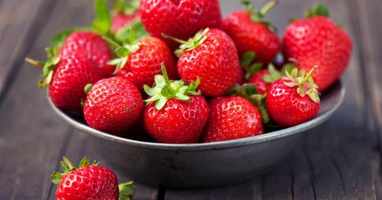 Адамдар құлпынайдың ішіндегі кішкентай дернәсілдерге байланысты оны жеуден бас тартты