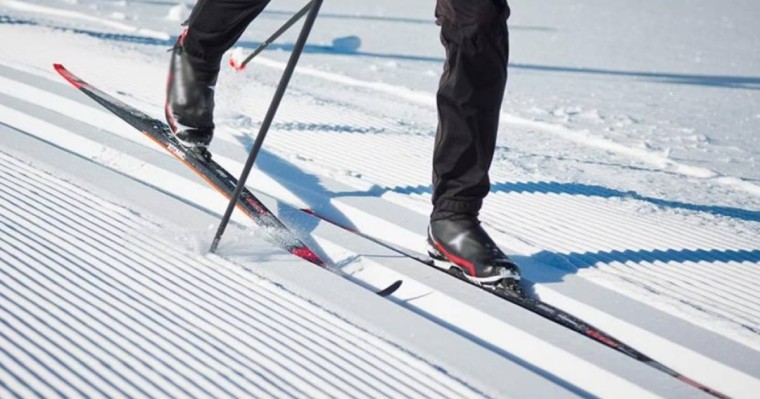 Жасөспірім шаңғы базасында ағашқа соқтығысып, қаза тапты