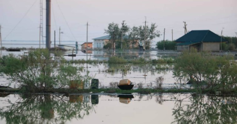 Мақтааралда 1300 отбасы Әлішер Усмановтың қорынан мың доллардан алды - Қазақстан жаңалықтары
