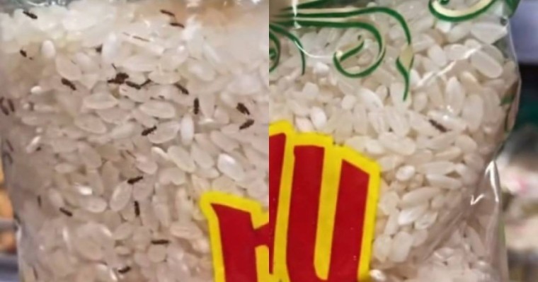 Magnum дүкеніндегі күріштерде құрттар қаптап жүр