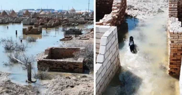 Блогер Құлсарыдағы су басқан зираттарды көрсетті