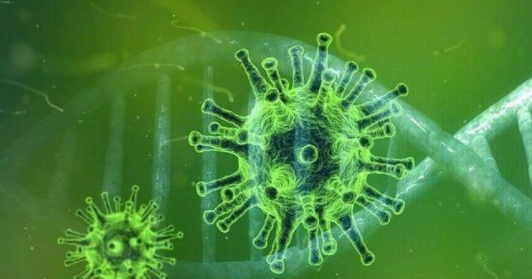 Коронавирус мутациялана бастады: Жаңа вирусқа 20A.EU1 деген атау берілді